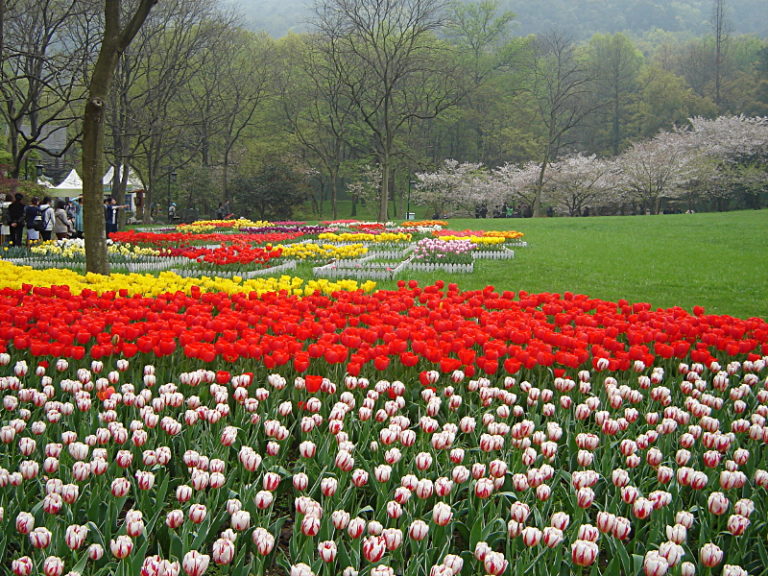 Lebenspflege im Frühling